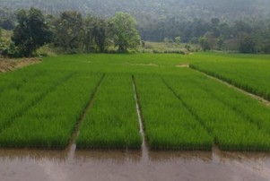 AHRS_Kademadakal_4