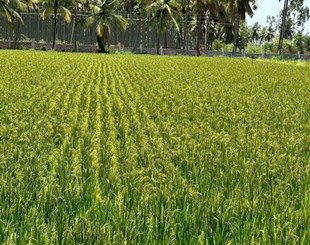 AHRS_Kathalagere_3