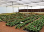 AHRS_Madikeri_2