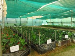 AHRS_Madikeri_6