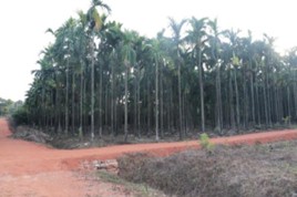 AHRS_Thirtahalli_2