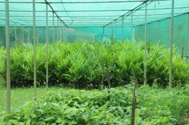 AHRS_Thirtahalli_3