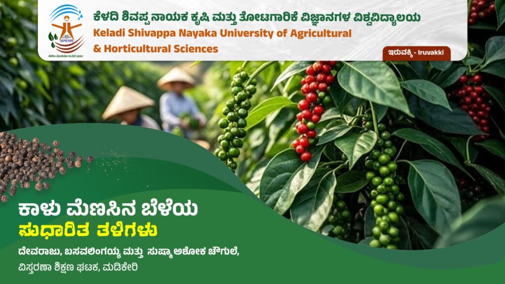 Best Agricultural University