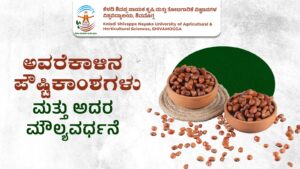 Horse gram seeds in bowls showing nutritious pulses used in traditional Indian diet