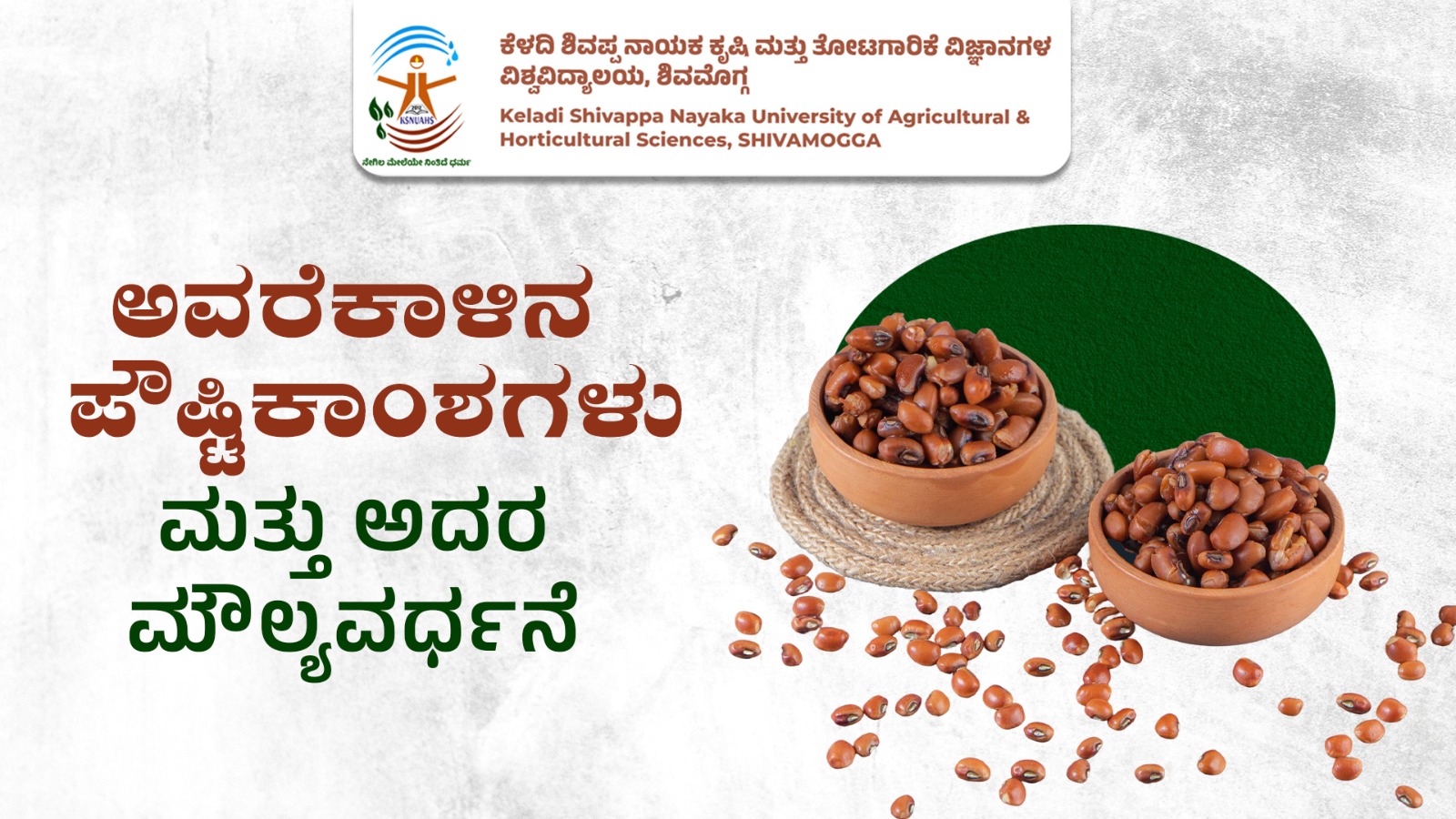 Horse gram seeds in bowls showing nutritious pulses used in traditional Indian diet