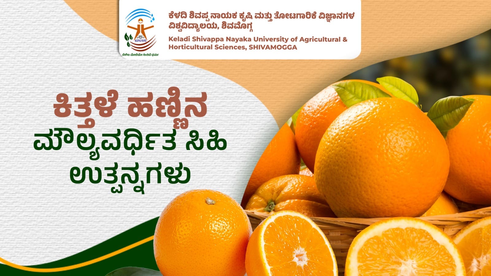 Assorted value-added sweet products made from fresh oranges