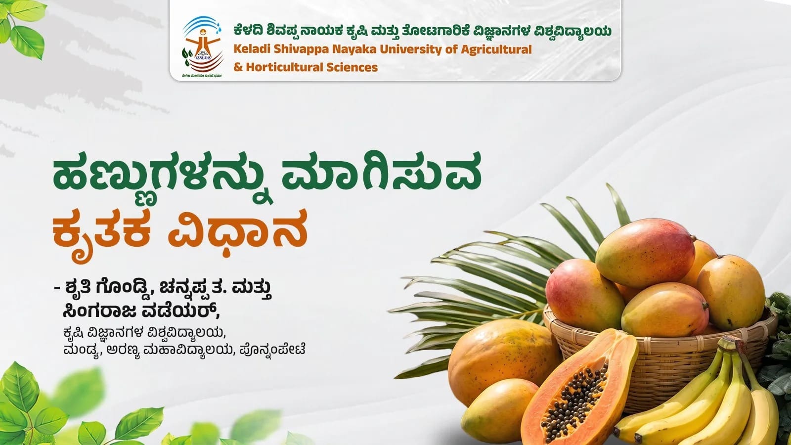 Fruits undergoing artificial ripening using controlled methods