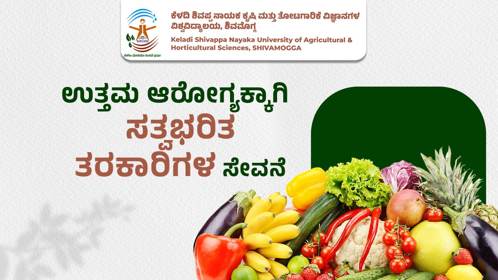 Fresh nutrient-rich vegetables arranged for healthy eating