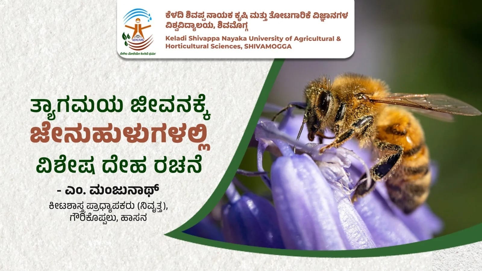 Honey bee anatomy showing specialized body structure for productivity