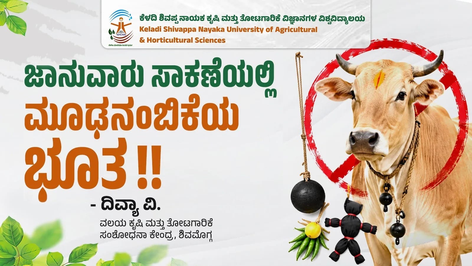 Scientific livestock rearing practices replacing traditional superstitions
