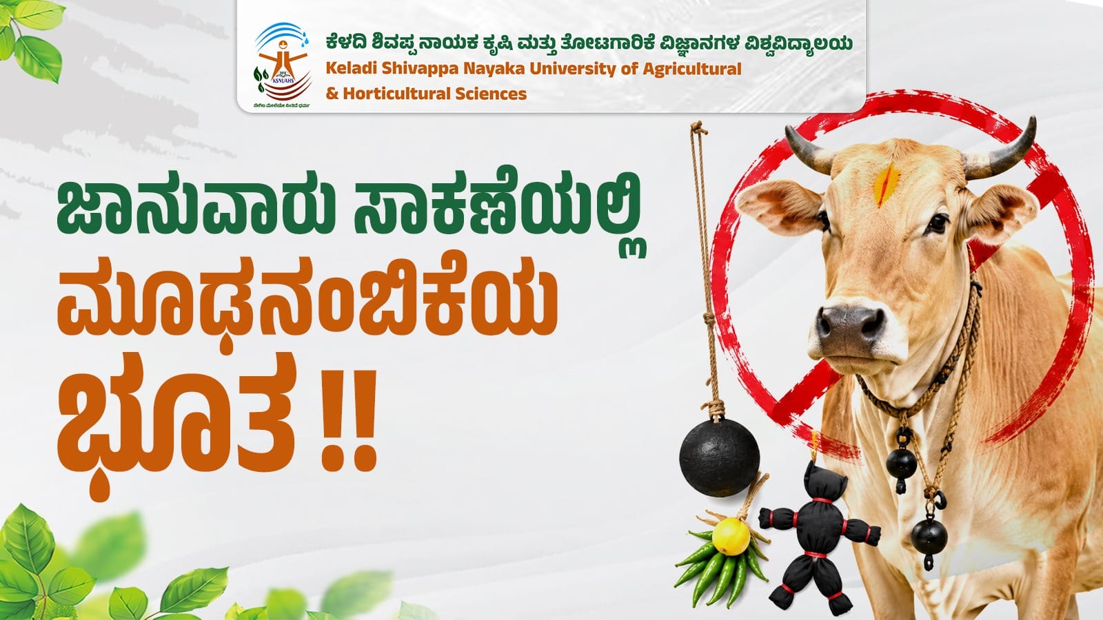 Scientific livestock rearing practices replacing traditional superstitions