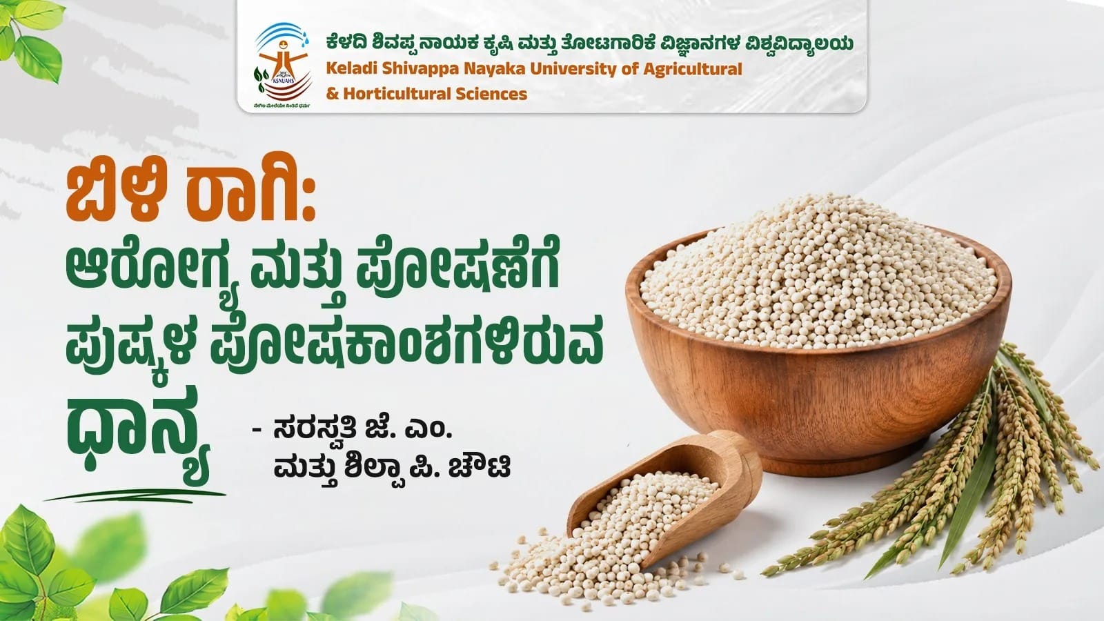 White finger millet grains rich in nutrients and health benefits
