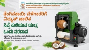 Electric coconut dehusking machine helping coconut farmers remove coconut husks quickly and efficiently.