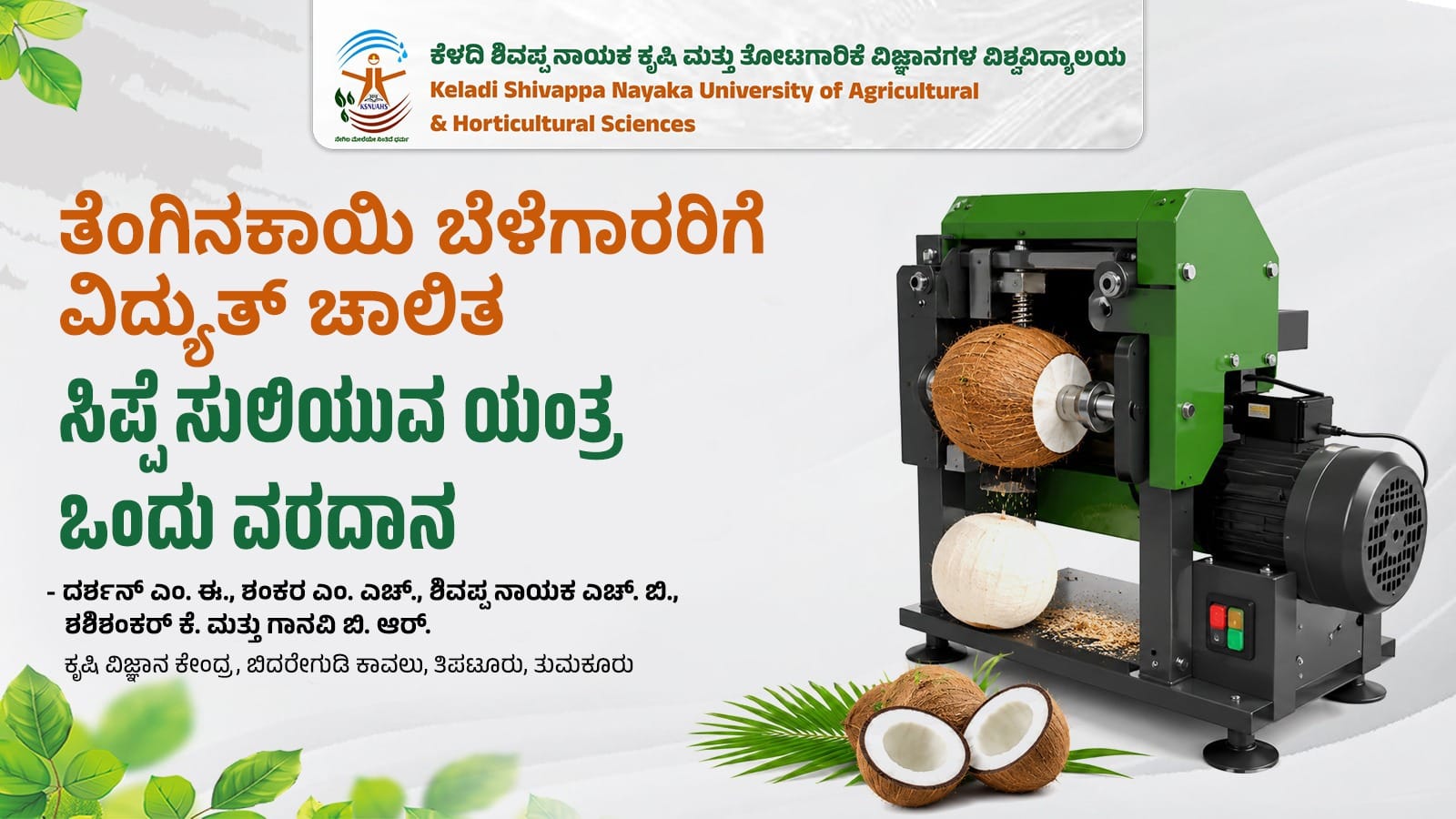 Electric coconut dehusking machine helping coconut farmers remove coconut husks quickly and efficiently.