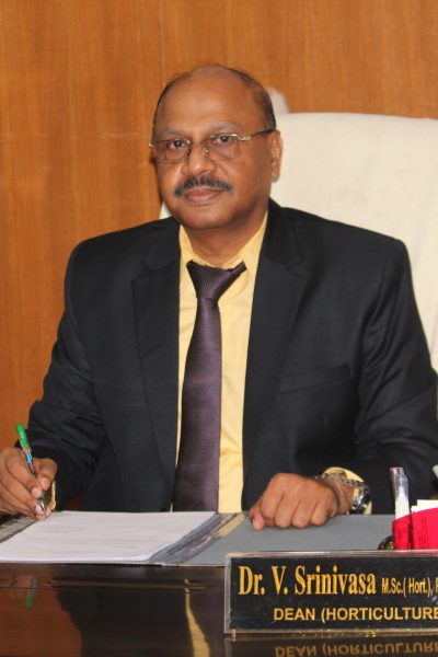 11. Dean (Hort.) - Dr. Srinivasa V