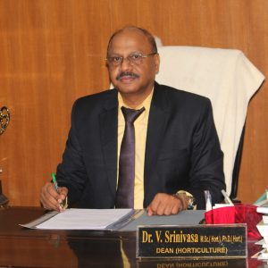 11. Dean (Hort.) - Dr. Srinivasa V