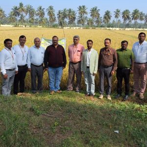 AICRP Monitoring Team visit to Breeder seed production plots at AHRS Kathalagere-2025-26