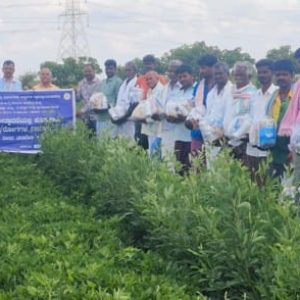 TSP- Training programme- Distribution of plant protection chemical kits for Groundnut farmers 2025-26
