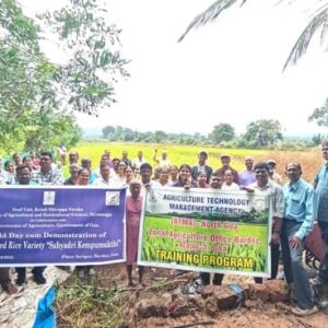 Field day cum Demonstration of Improved Rice variety Sahyadri Kempumukthi at Panaji, Goa 2025-26